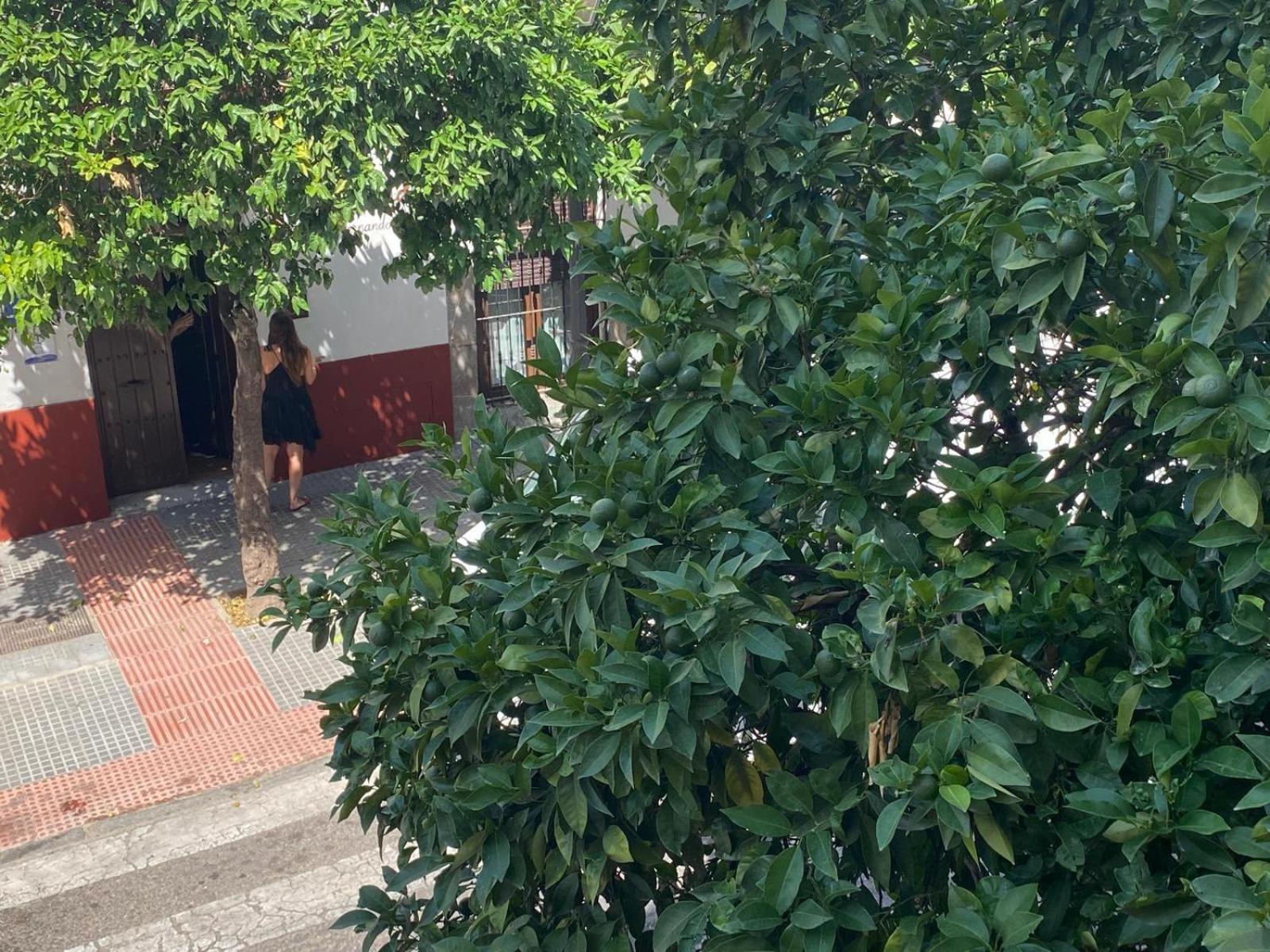 La Escalerita Apartman Córdoba Kültér fotó